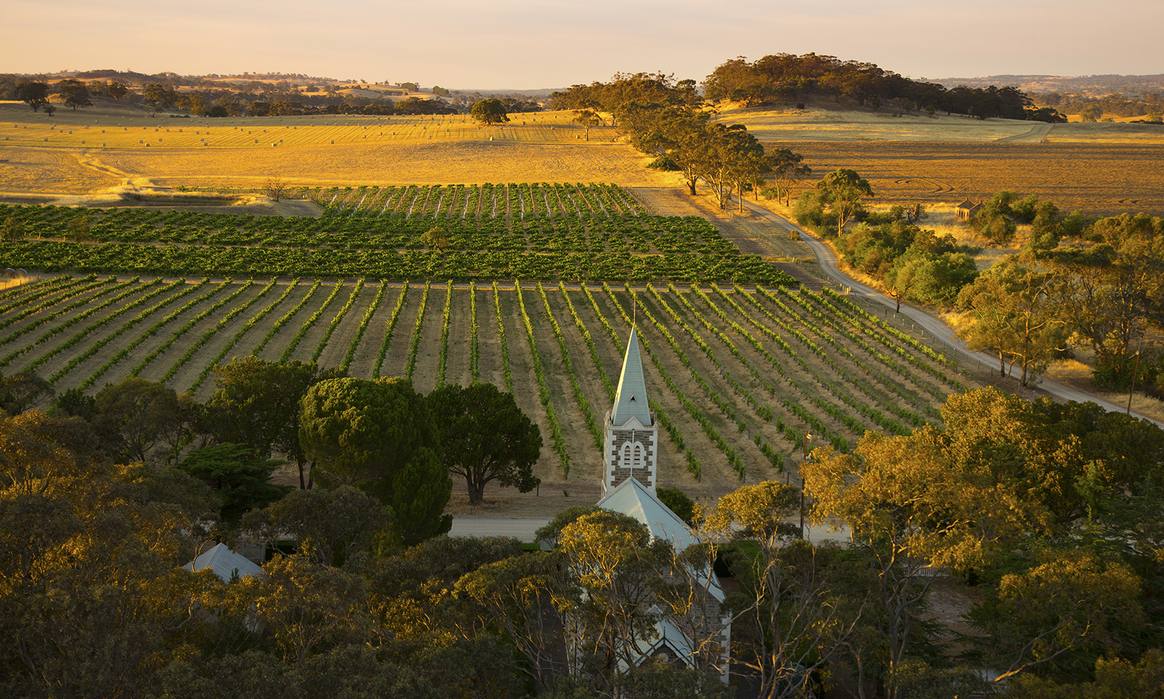 The Hill of Grace vineyard in the Barossa